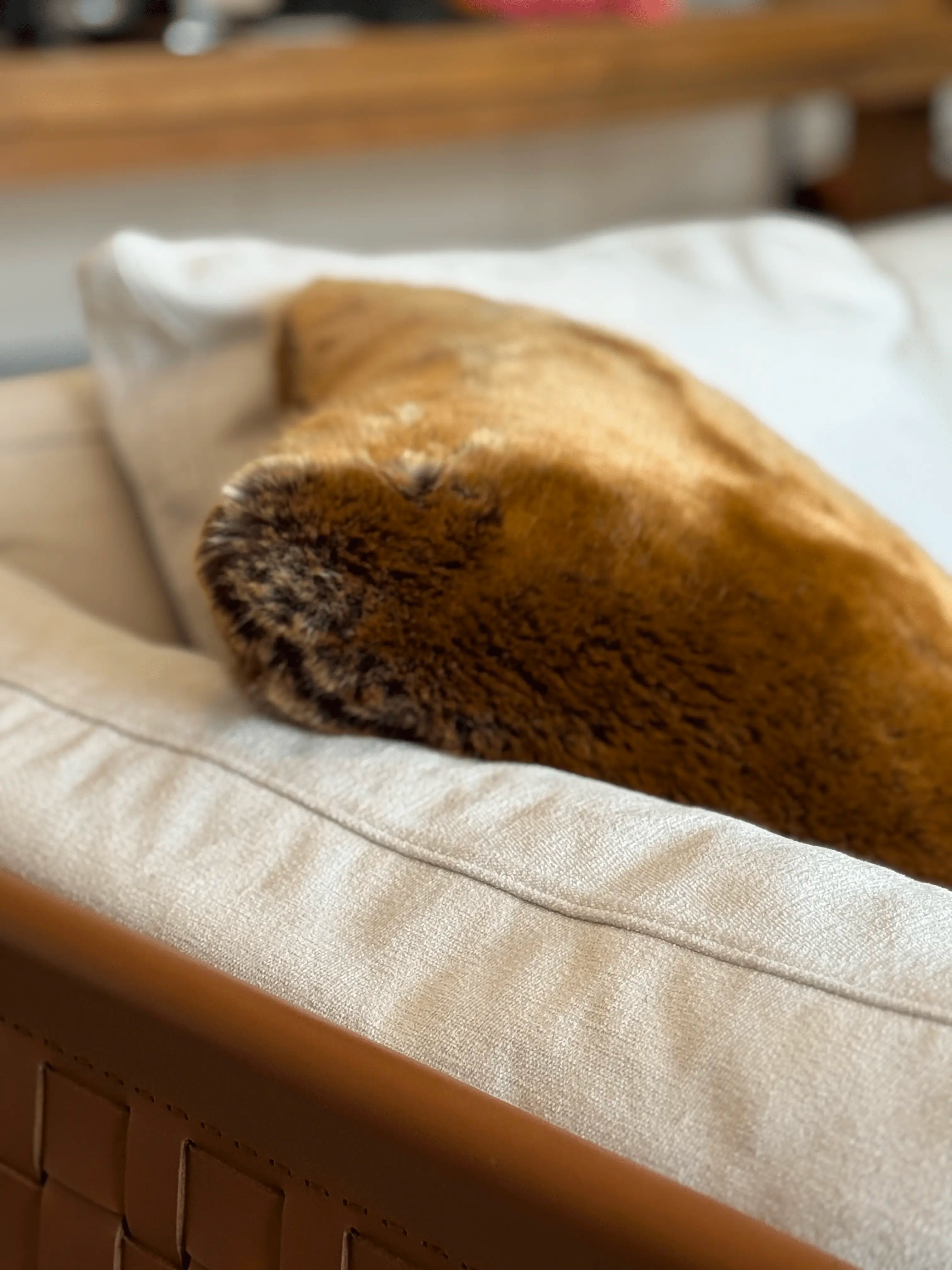 Kunstfellkissen Wiesel auf heller Couch - Nahaufnahme der naürlichen Fellstruktur. 