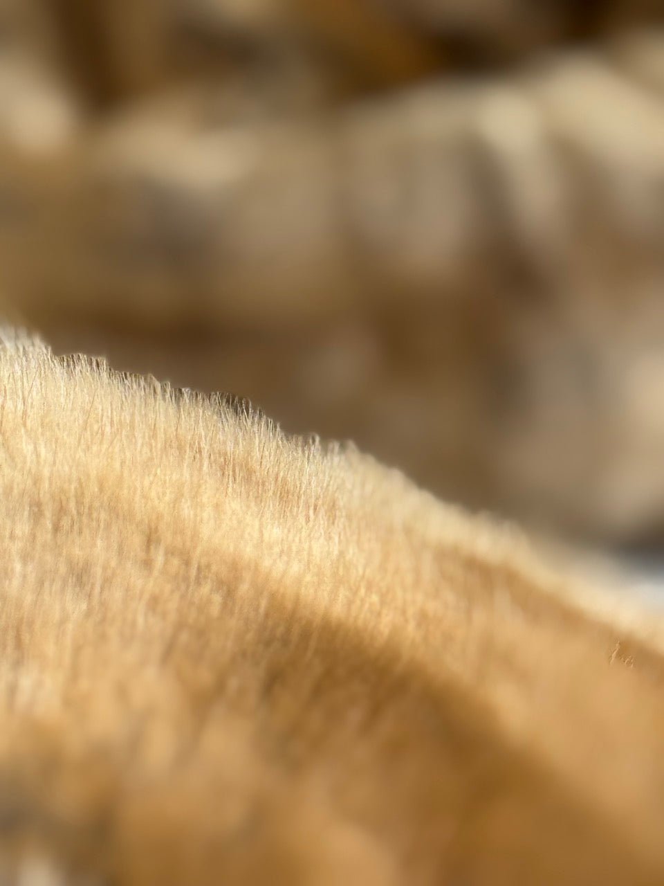 Kunstfell - Kissen Wiesel - Martin Gabriel - Kunstfellkissen - Martin Gabriel